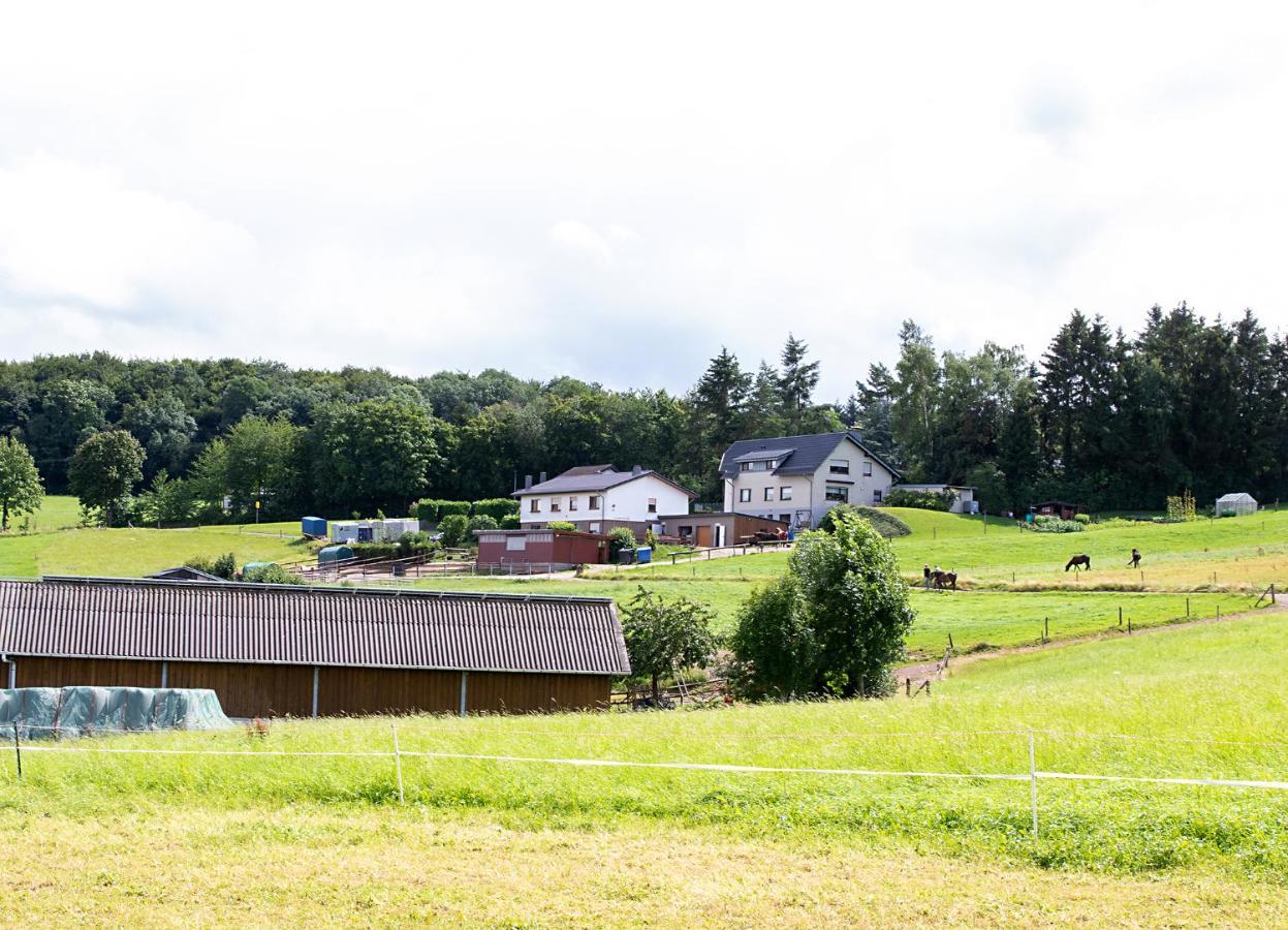 Ferienwohnung Roderath Nettersheim エクステリア 写真