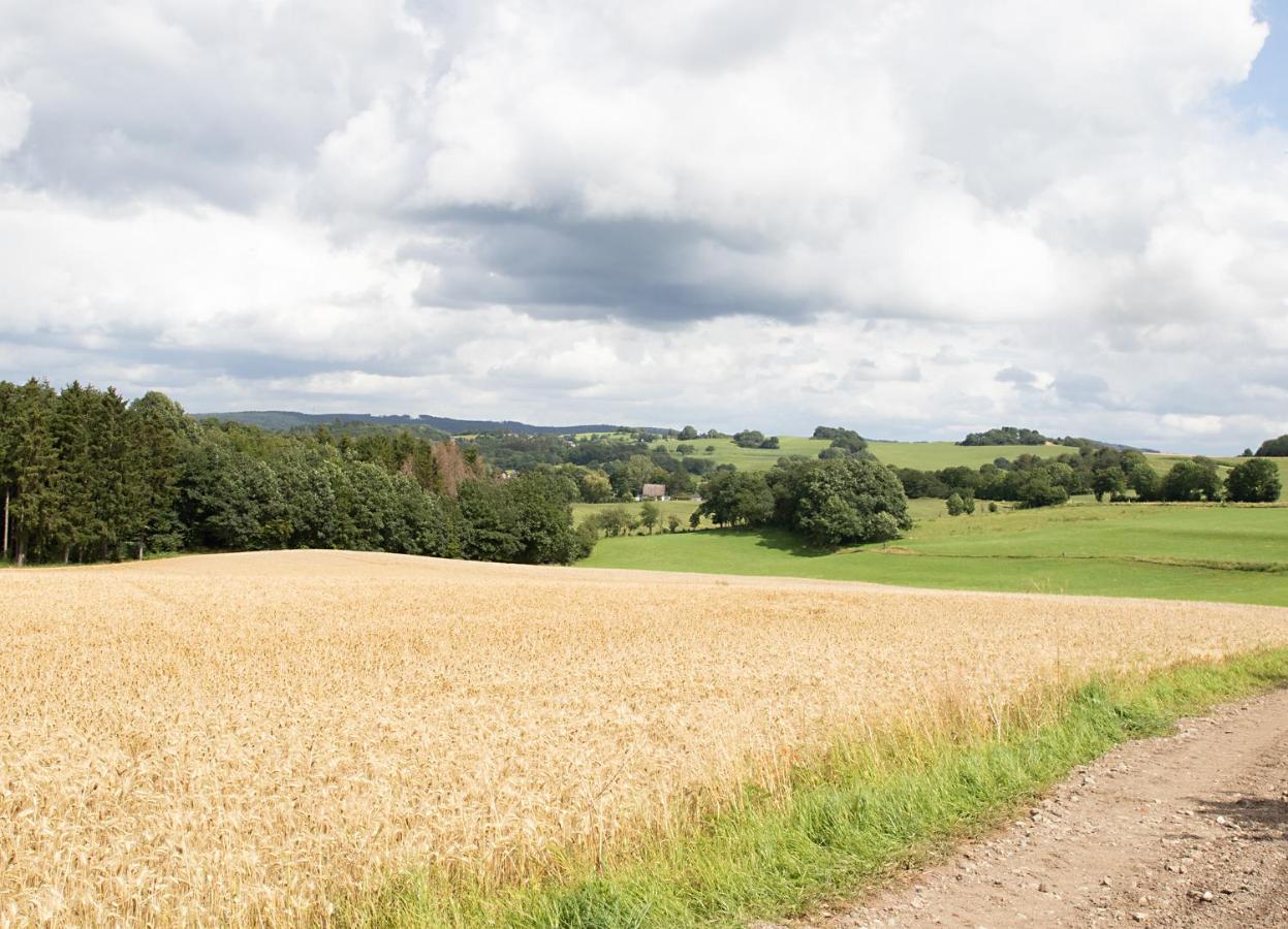 Ferienwohnung Roderath Nettersheim エクステリア 写真