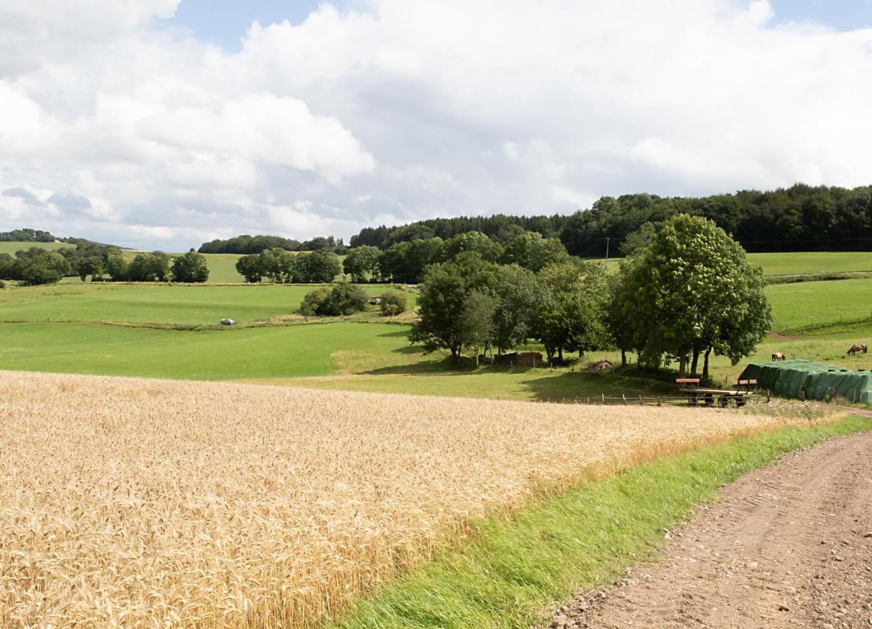 Ferienwohnung Roderath Nettersheim エクステリア 写真