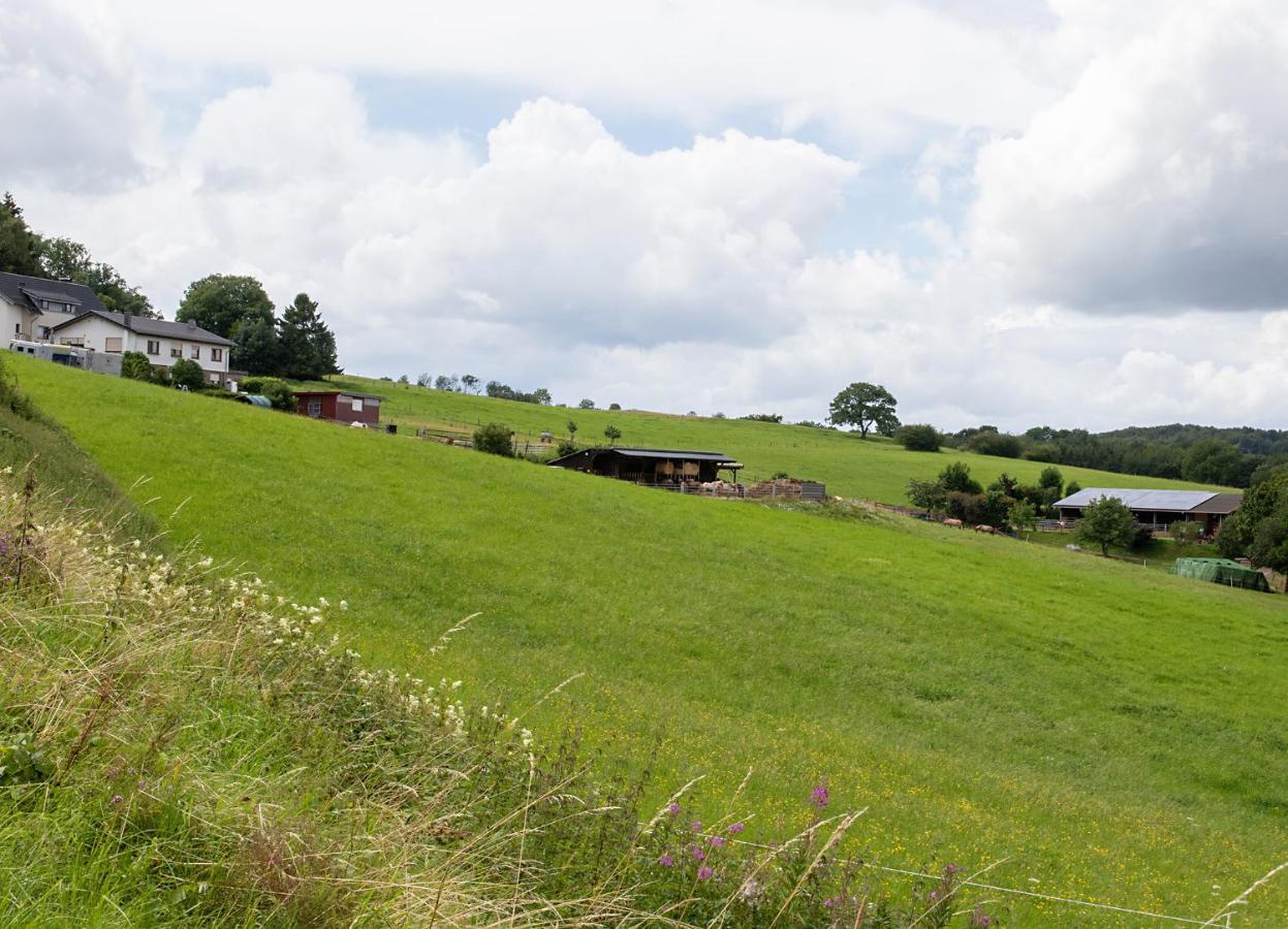 Ferienwohnung Roderath Nettersheim エクステリア 写真